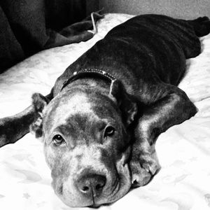 Meet your Posher, Charlotte